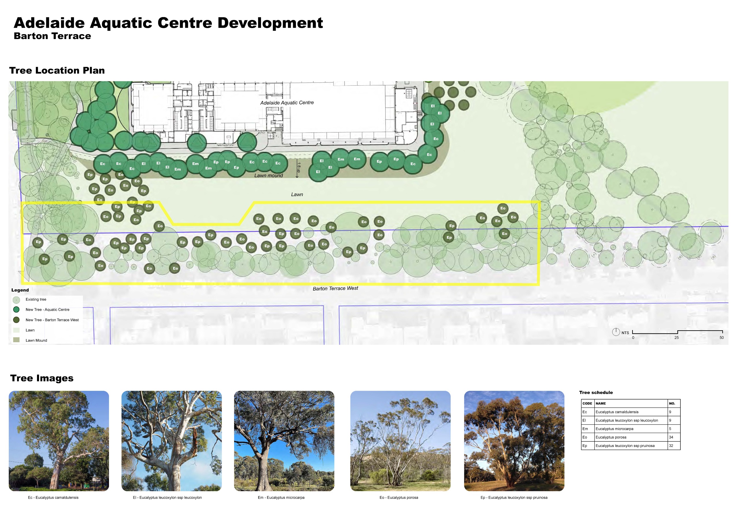 Tree location plan and images of proposed species